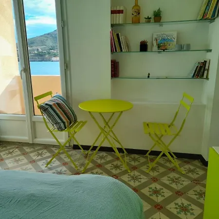 La Mediterranee Vue Sur Plein Soleil 3 Climatisations Reversibles Apartman Port-Vendres