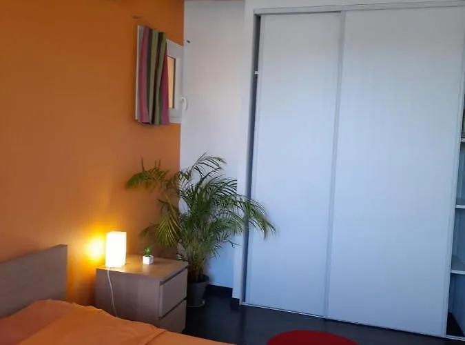 La Mediterranee Vue Sur Plein Soleil 3 Climatisations Reversibles Apartman Port-Vendres