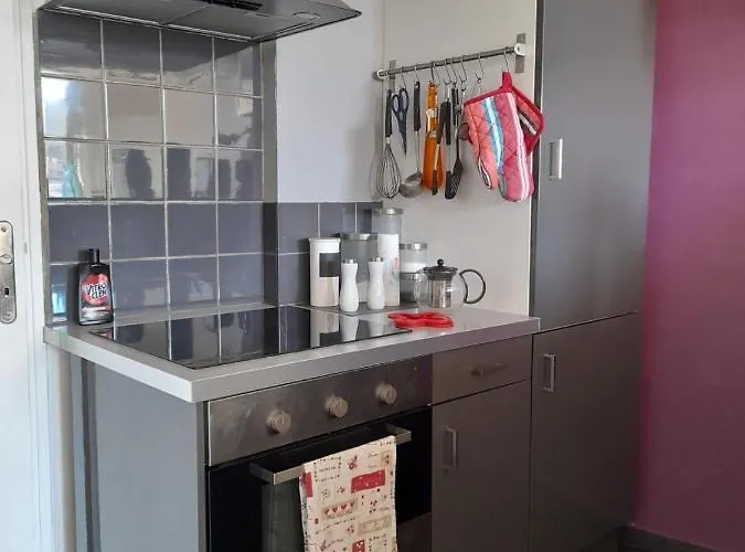 Apartman La Mediterranee Vue Sur Plein Soleil 3 Climatisations Reversibles Port-Vendres